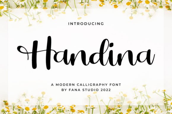 Handina Typeface: The Sweet Spark Your Brand Needs
