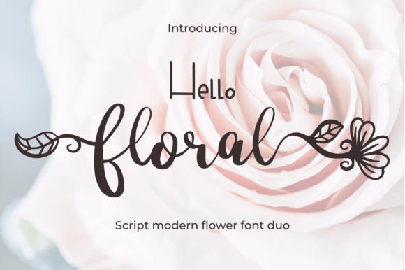 Hello Floral Script Font for Modern Branding